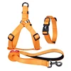 Factory direct selling popular custom sturdy nylon dog leash with good quality puppy collars