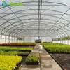 Hot sale plastic roofing greenhouse with wiggle wire