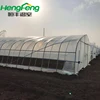 /product-detail/plastic-greenhouse-tunnel-greenhouse-outside-cover-with-po-film-commercial-greenhouse-for-sale-62021875422.html