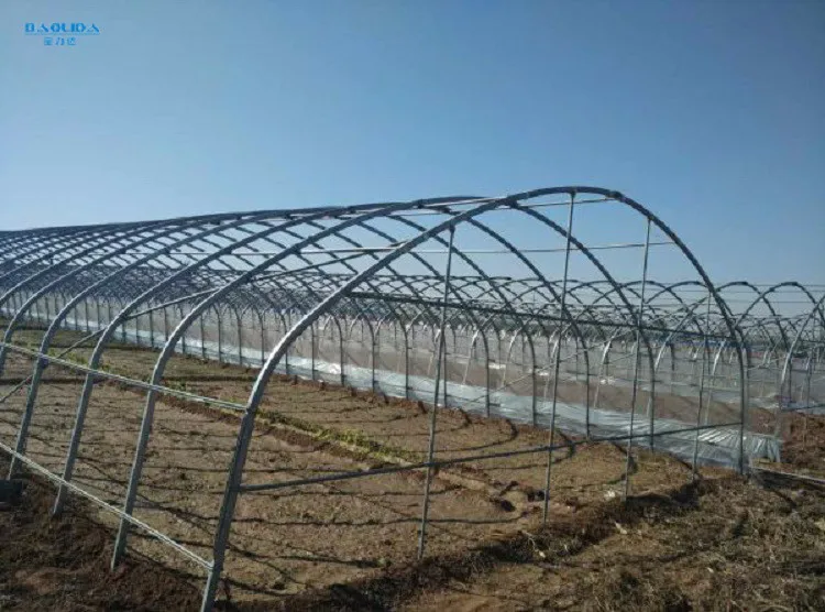 China supplier cheap price tunnel greenhouse.jpg
