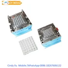Factory Making plastic injection egg tray mould
