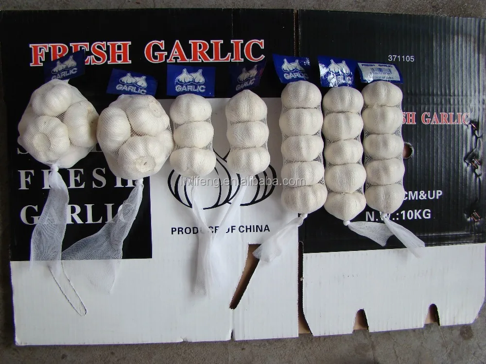 fresh Chinese White Garlic for sale / Pure White Garlic