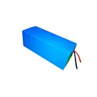 Hot sell 12V 24V 36V 18650 battery cell high capacity li ion battery