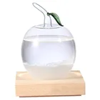 storm glass water drops weather forecast bottle Barometer