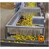 How to buy fruit processing concentred mango jam machine
