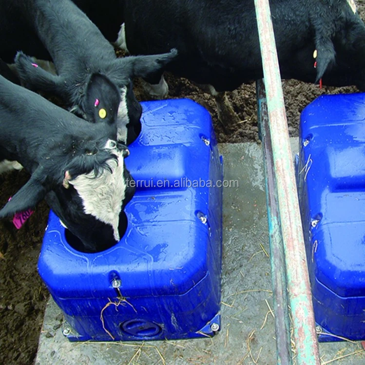 Automatic waterer bowl trough drinking equipment for cattle cows alive