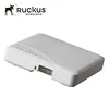 Professional Wireless Access Point Ruckus R500 for PoE wireless AP