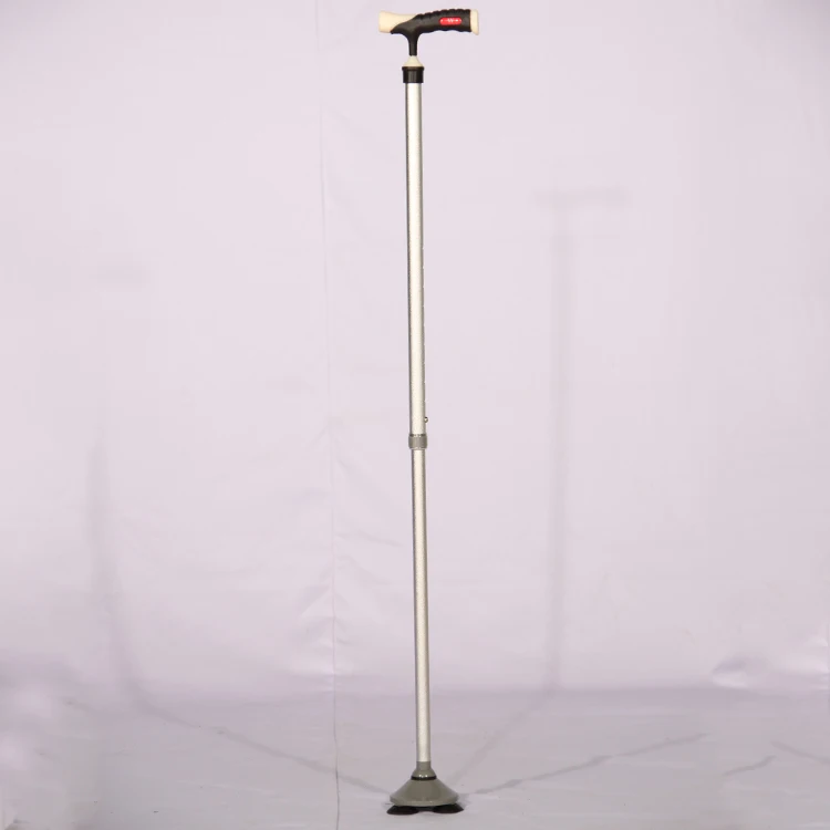 walking stick 3.jpg