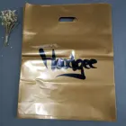 Custom Logo Printed Biodegradable Die Cut Handle Shopping Plastic Bag for clothes packaging