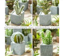 Handicraft Frog Arrangement Cane Woven Basket Receiving Box Storage Basket for Blankets Shoe Towel Laundry Toys Sundries