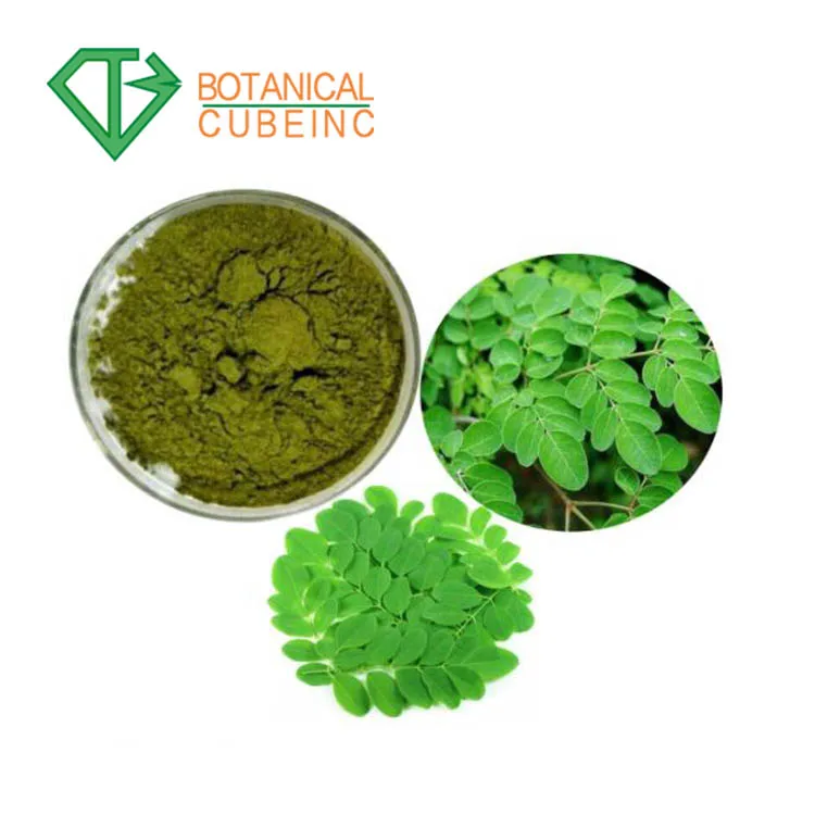 Moringa oleifera(4)