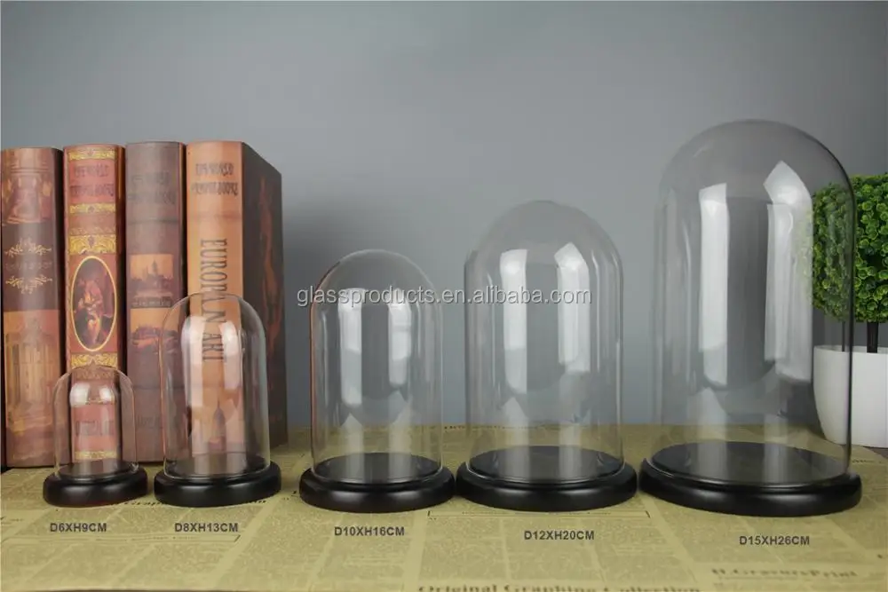 Wholesale Small Glass Dome With Wood Base For Display