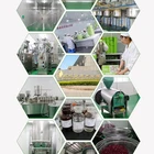Powder Coffee Coffee Powder Chinese Factory Wholesale Instant Solid Beverage Powder Dirnks OEM Weight Loss Coffee