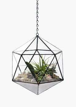 Five double diamond large geometric glass greenhouse plant micro landscape flowerpot container factory direct OEM