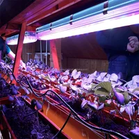 LED Full Spectrum Grow Light 100W