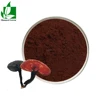 Lingzhi Reishi Spore Shell-broken Extract Ganoderma lucidum Reishi Spore Powder