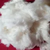 Hot Sale 100% Natural Raw Cotton / Waste Cotton in bales for sale from China