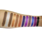 Eye Use and Dry Eye Shadow Type 12 color eye shadow palette with private label