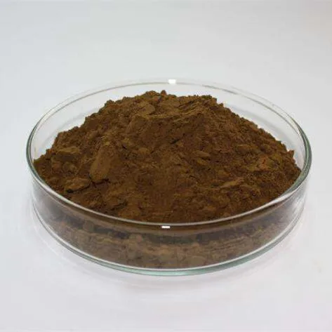 Reishi Mushrooms Where to Buy Professional Lingzhi Mushroom