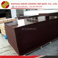 Construction Real Estate Film Face Plywood