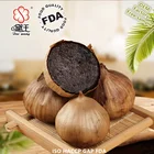 Chinese new crop natural Organic single black garlic with competitive price Free sample Factory