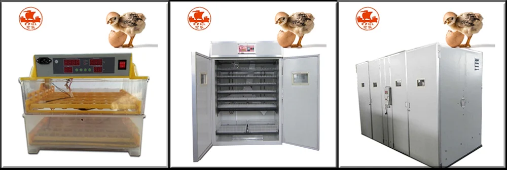 Fully Automatic High Productivity Chicken Egg Incubator / Egg Manufacturers factory