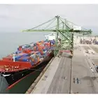shipping company provide second hand bikes sea freight service from shenzhen to usa
