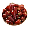 /product-detail/sichuan-hot-pot-spices-seasoning-dry-red-chili-peppers-bullet-chili-60805972976.html