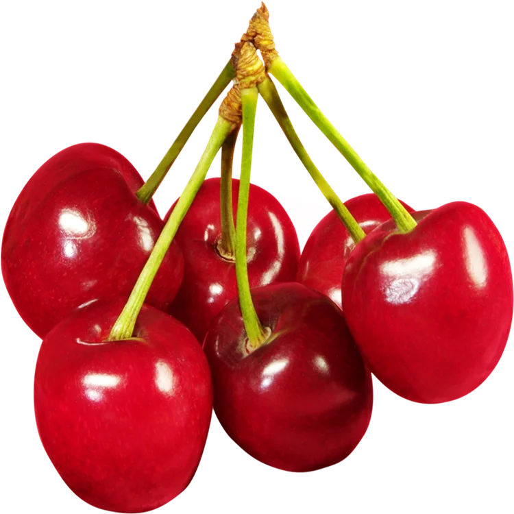 Destoner for Cherry Plum Fruit seed remove machine