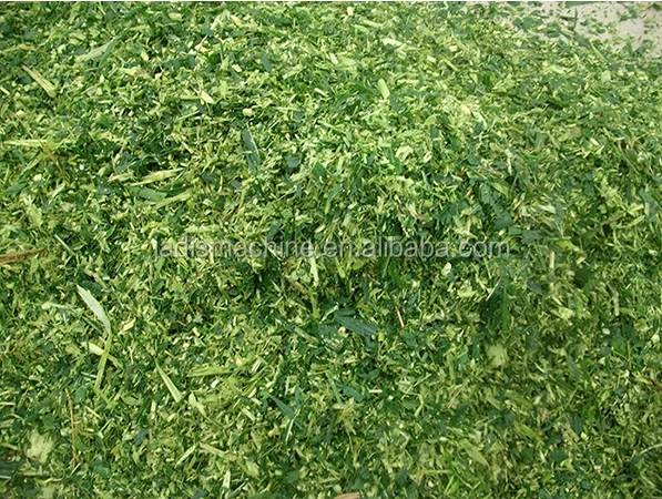 corn silage