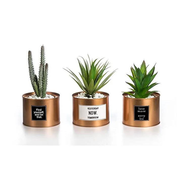 Set von 3 Mini Künstliche Pflanzen Kunststoff Grün Gras Kaktus mit Sonder Golden Können Topf Design