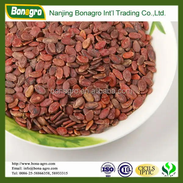 red watermelon seeds supplier