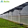 /product-detail/hot-sale-plastic-film-multi-span-greenhouse-agriculture-grow-tent-62027573285.html