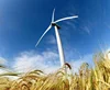 wind turbine generator 600W --500KW wind power gernerator