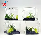 Jar Handmade Square Shape Borosilicate Glass Jar For Plant