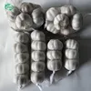 /product-detail/china-normal-garlic-buyer-importers-with-cheap-price-62041776241.html