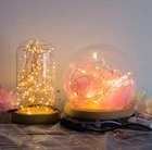CR2032 Button Battery Operated led christmas string light,decoration for Diwali/Wedding Copper Wire String Light