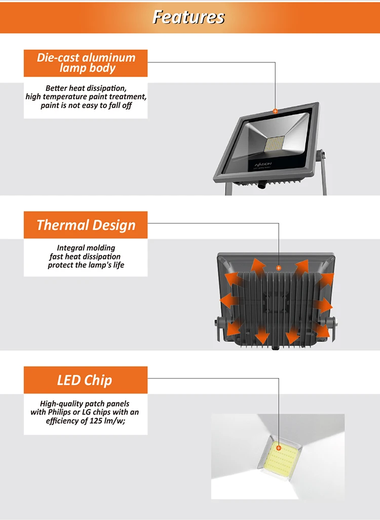LED Flood TG04100-6-1
