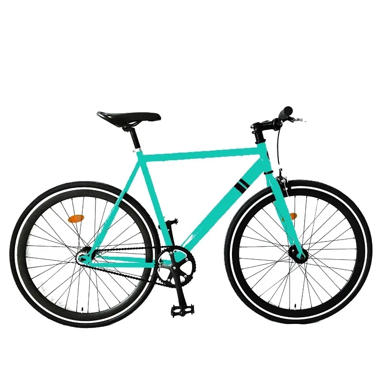 fixie 2019