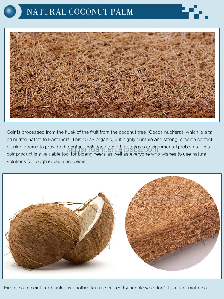 firm natural palm coconut fiber coir mattress for kids and old people - Jozy Mattress | Jozy.net