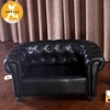 Home Pet Ultra Luxury Library Pet Sofa Dog