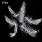 70% Washed White Duck Down, Duck Feather, Down for Bedding