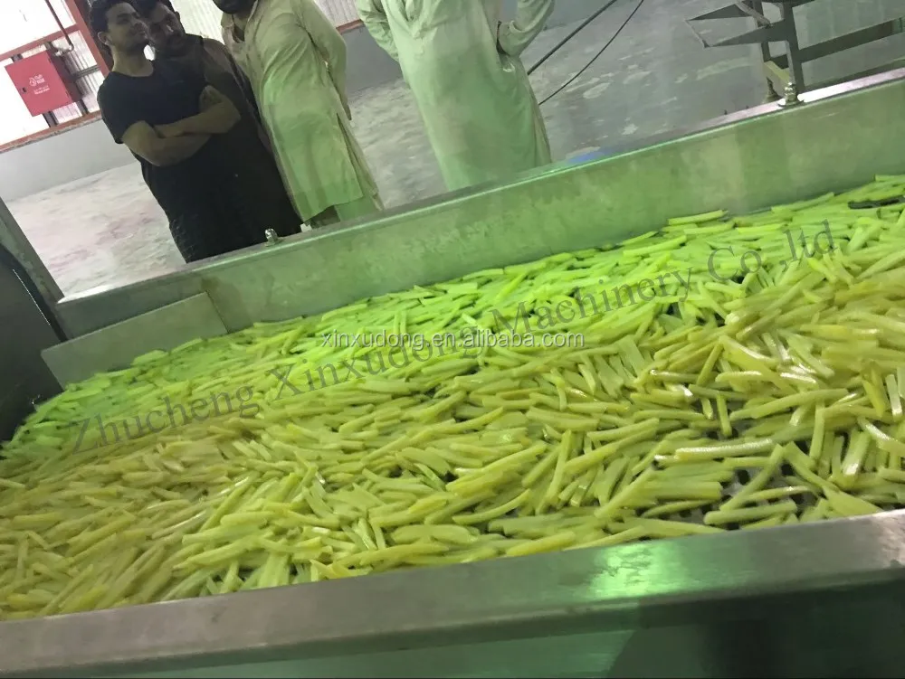 Automatic Frozen French fries Machinery; Machines for french fries and potato chips