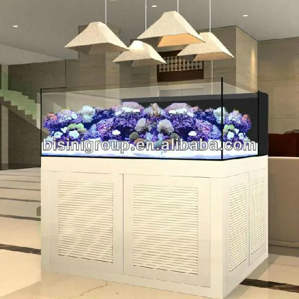 modern style fish tank
