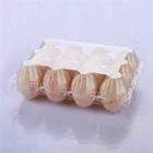 Egg Chicken Egg Plastic Chicken Tray Wholesale Clear 12 Cell Pack Plastic Tray Packaging Plastic Egg Tray For Chicken Egg