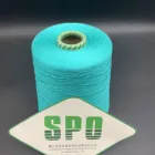 SPO dyed 60nm/2 spun silk yarn pure natural silk