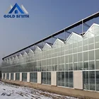 Venlo Type PC Sheet Agriculture Greenhouse with Cooling Equipment