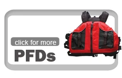 PFDs.jpg