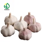 China fresh garlic (2019 new crop) in low price