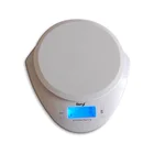 Promotional Product ABS Plastic Platform Kitchen Scale 1G 5Kg Digital Weighing Balance